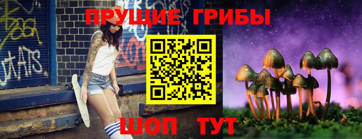 Мариинск  Псилоцибиновые грибы прущие грибы  Вход с VPN  Галлюциногенные грибы Cubensis 